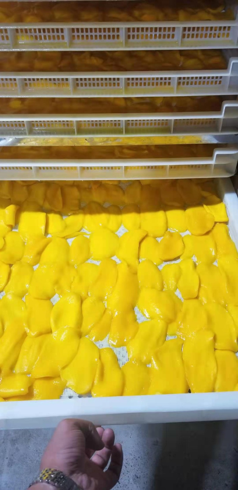 益陽瑪山產(chǎn)業(yè)機(jī)械有限公司，湖南益陽螺旋風(fēng)管廠家，熱風(fēng)食品烤房