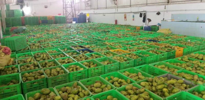 益陽瑪山產(chǎn)業(yè)機械有限公司，湖南益陽螺旋風(fēng)管廠家，熱風(fēng)食品烤房